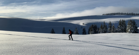 Le ski de randonnee